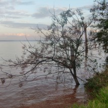 Lake Itaipu from the Tati Yupi sanctuary